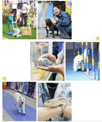 數萬寵業人齊聚潮寵展，這些亮點讓人驚呼OMG！寵物全運會點燃行業激情